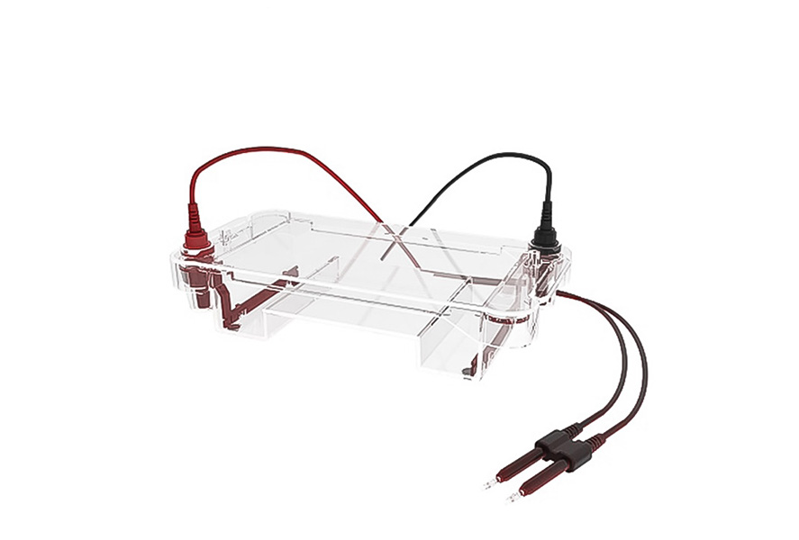 1765437038521336.jpg 未标题-2.jpg