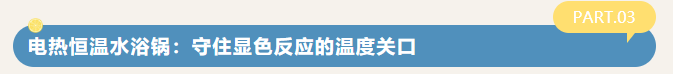 微信图片_2026-08-28_142738_757.png